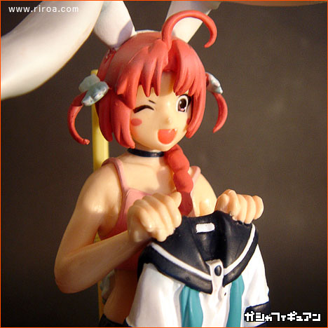 ������������t�B�M���A