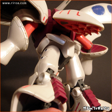 �K���_���̃v�����f���Ɗߋ�