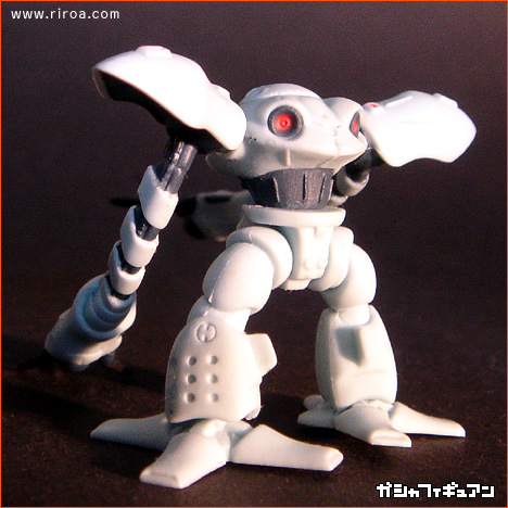 �K���_���̃v�����f���Ɗߋ�