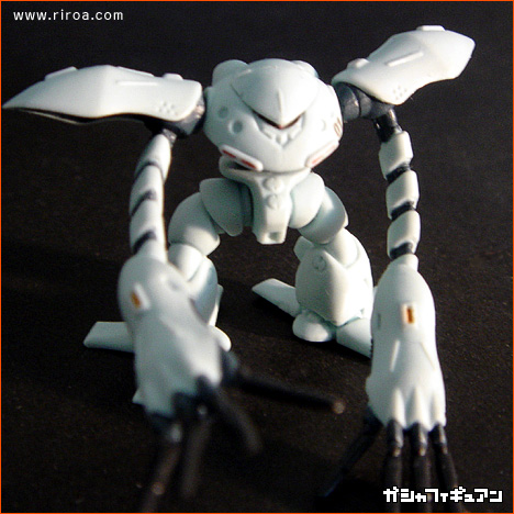 �K���_���̃v�����f���Ɗߋ�